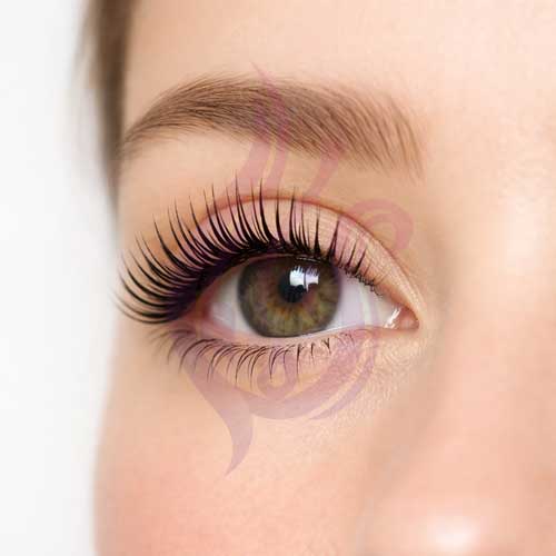 لیفت و لمینت مژه در سال ۱۴۰۵